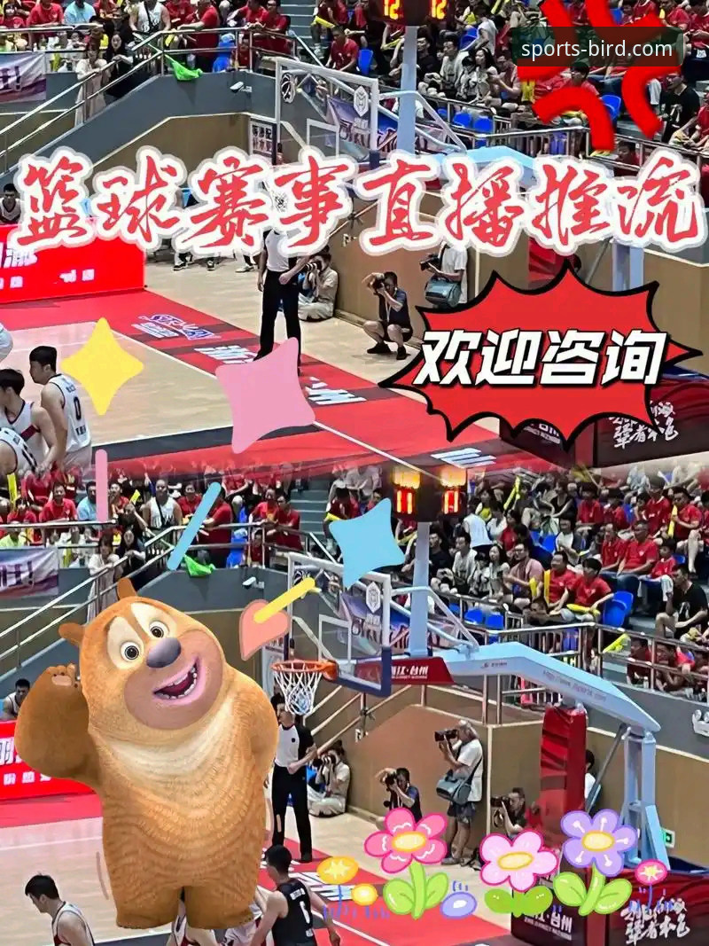 小鸟体育官网深度评测：一个资深用户的真实体验与赛事直播平台剖析