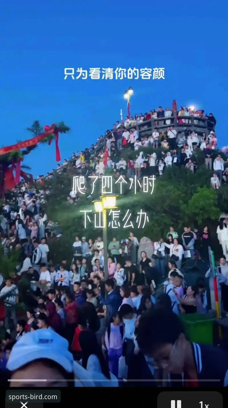 3大核心维度解析：小鸟体育官网如何重塑流畅直播体验