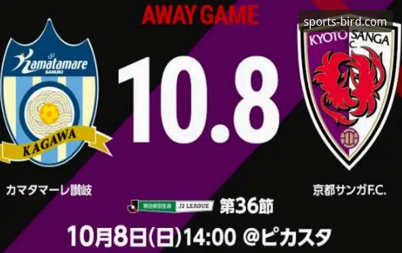 小鸟体育官网赛事回放功能深度使用指南：从观看到分析的进阶攻略