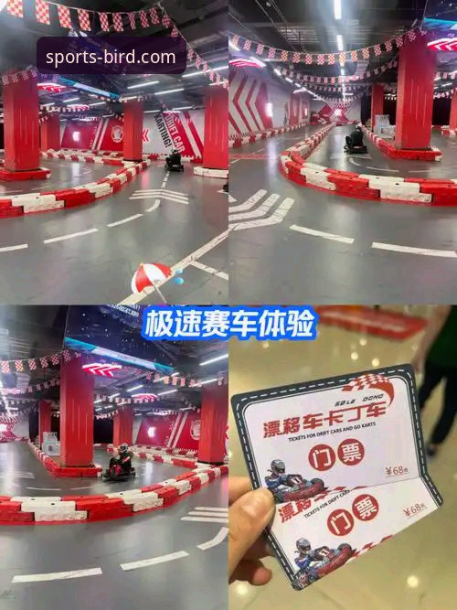 小鸟体育手机版全面解析：资深用户视角下的移动观赛新体验