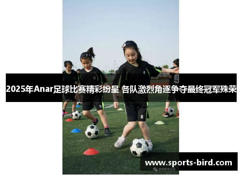 2025年Anar足球比赛精彩纷呈 各队激烈角逐争夺最终冠军殊荣